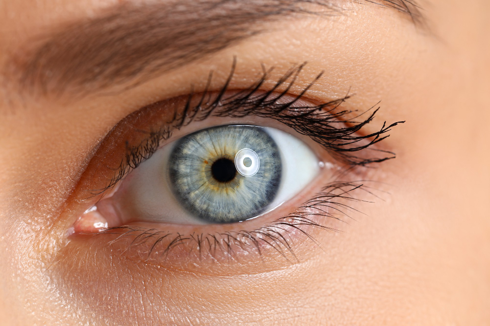 Pupil Dilation